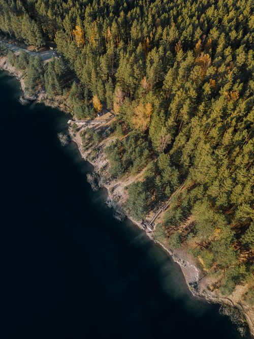 Free Stunning aerial view of a forest meeting a serene shoreline during autumn in Latvia. Stock Photo
