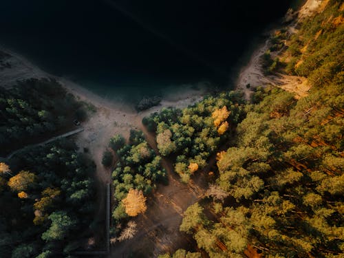 Základová fotografie zdarma na téma břeh jezera, letecká fotografie, padání