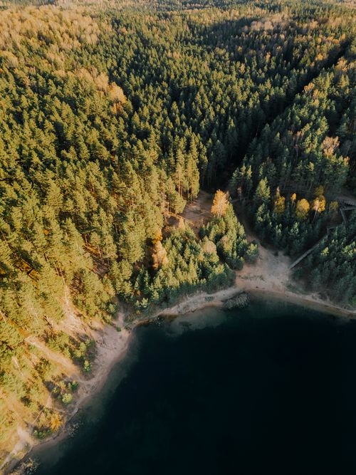 Free Discover the tranquility of Latvia's lush forests and pristine lakes in autumn from an aerial perspective. Stock Photo