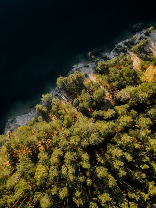 Základová fotografie zdarma na téma břeh jezera, les, lesnatý kraj
