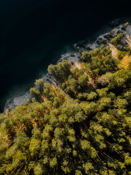 Stunning aerial shot capturing a lush forest meeting the serene lakeshore in Latvia's Ogre Municipality.