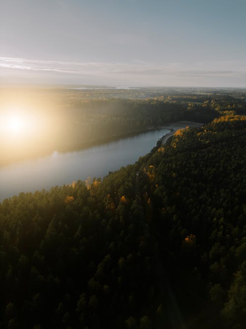 Aerial View of a Lake in the Middle of a Coniferous Forest