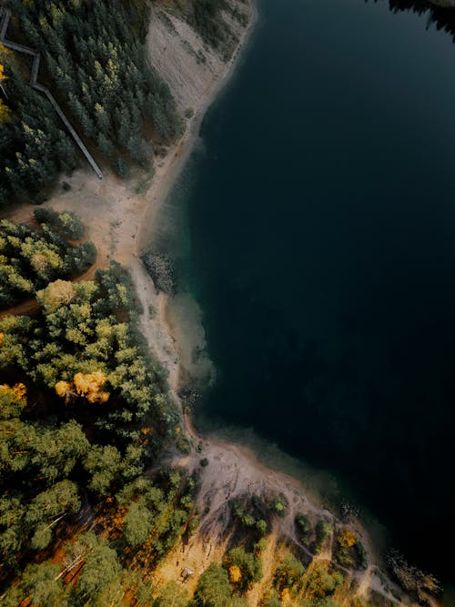 Lake by Forest in Birds Eye View