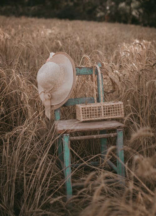 Hat and a Wicker Basket on an Old Wooden Chair in a Grain Field
