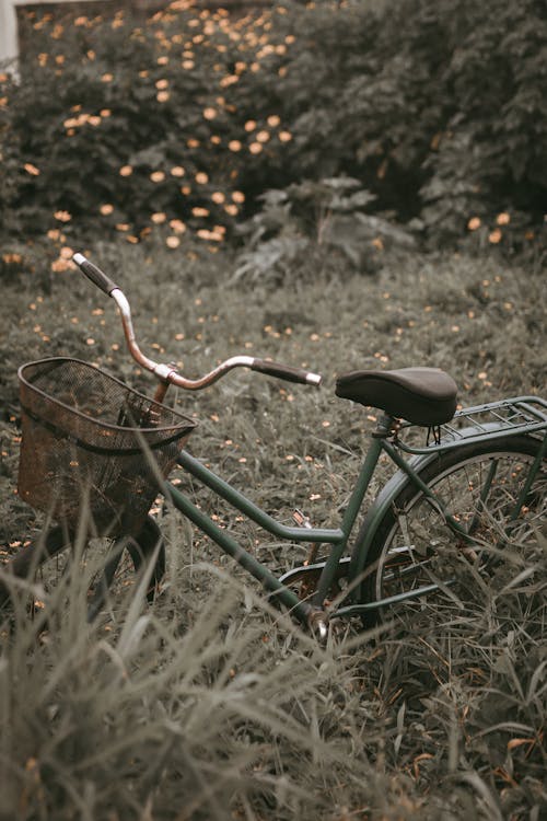 Bicycle on Meadow
