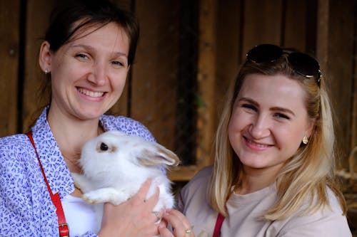 two young women, beaming with cheer as they hold a cute rabbit, highlighting the concept of animal protection and companionship. Explore the happiness of women advocating animal welfare an...