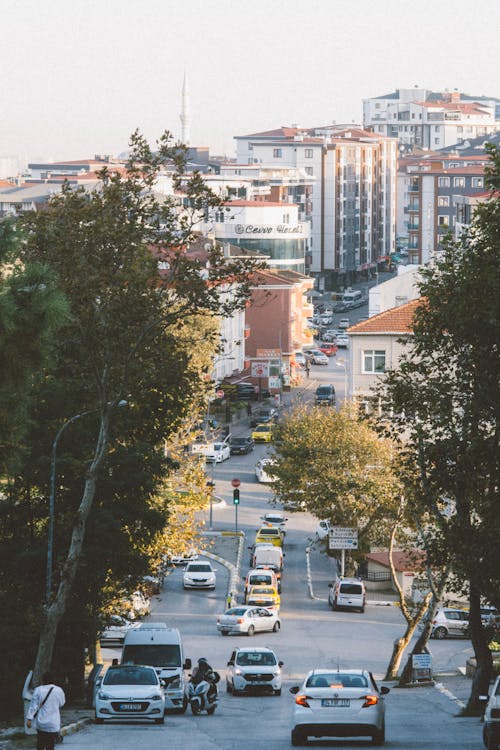 Základová fotografie zdarma na téma auta, budovy, města