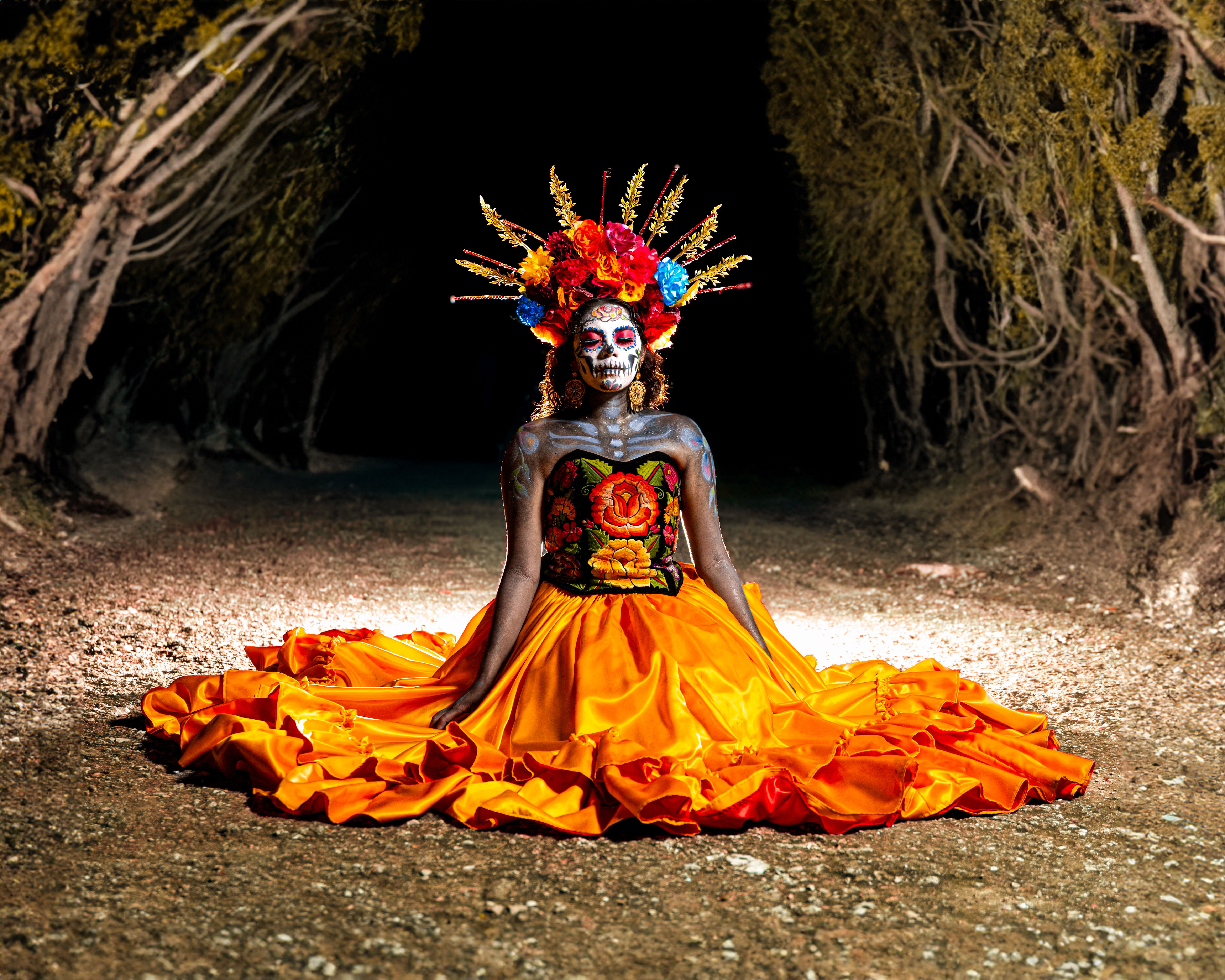 Foto de stock gratuita sobre al aire libre, anima, animas, arte ...