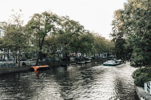 Бесплатное стоковое фото с Амстердам, Голландия, город