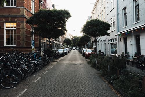Free A peaceful city street lined with bicycles and trees on a bright day. Stock Photo
