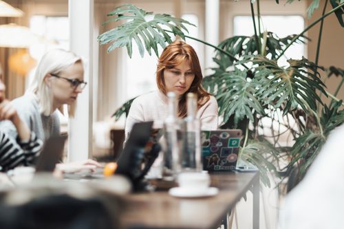 Free Two women working with laptops in a modern office surrounded by plants. Stock Photo