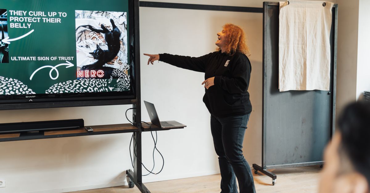 Rockstars del Storytelling: Cómo las Empresas más Innovadoras están aprovechando el Poder del Storytelling