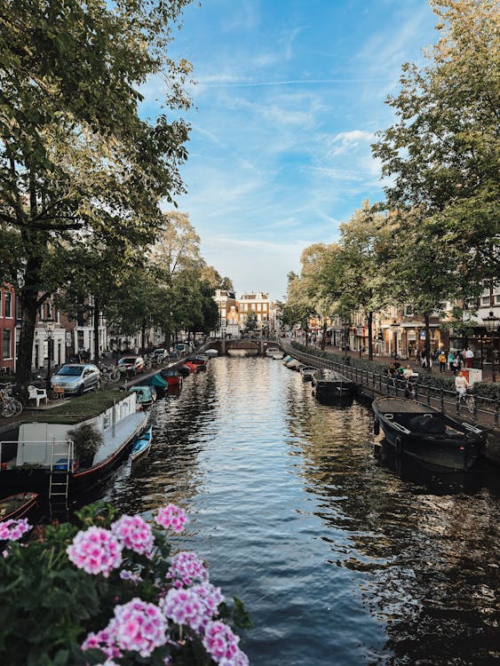 Ảnh lưu trữ miễn phí về amsterdam, bắn dọc, bờ sông