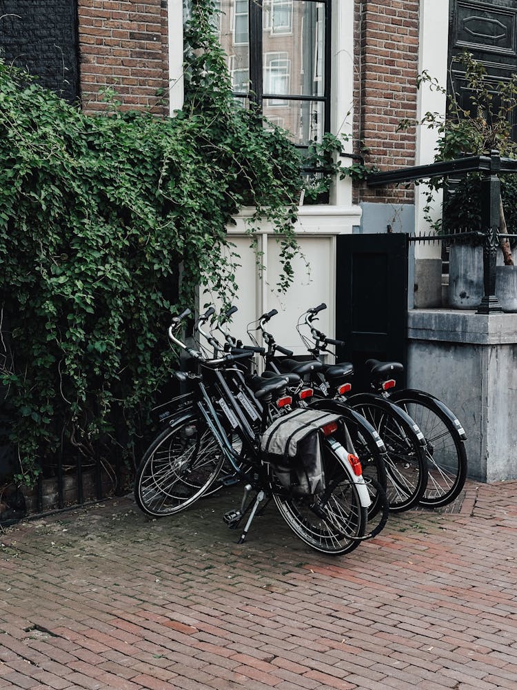 Row Of Parked Bikes