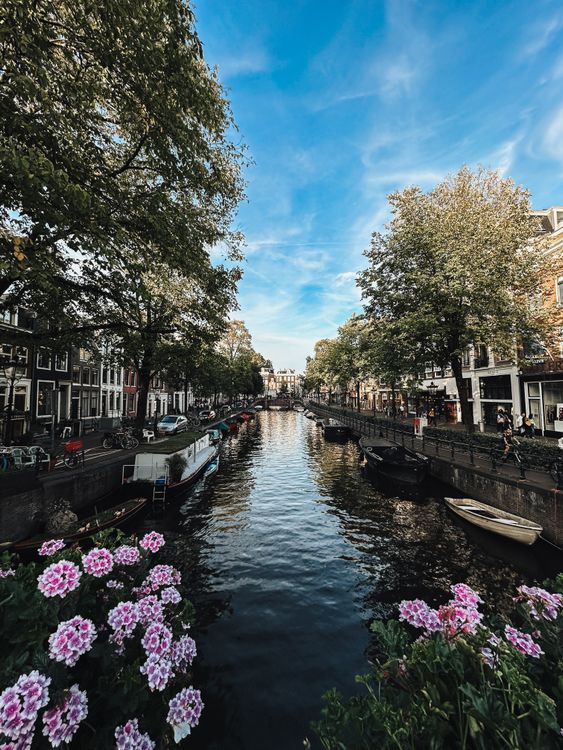Free A picturesque view of Amsterdam's canal lined with boats and vibrant flowers under a clear blue sky. Stock Photo
