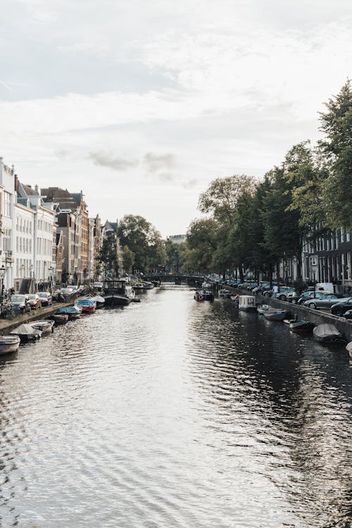 Canal with Moored Boats in Town