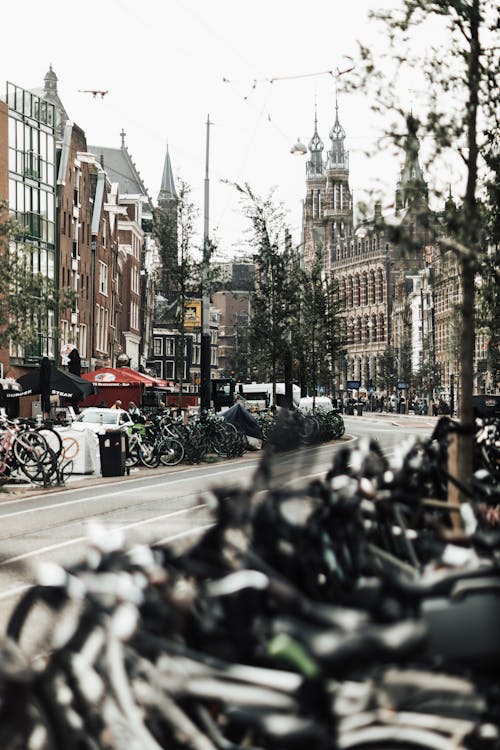 Immagine gratuita di biciclette, case popolari, città