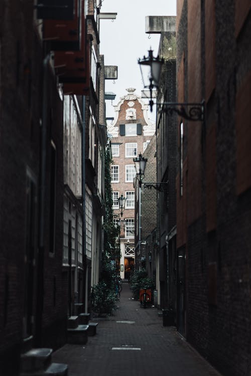 Narrow Street in Amsterdam 