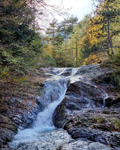 Rocks on Stream in Forest