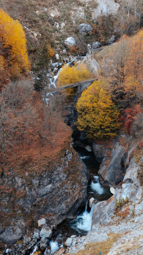 Free Breathtaking view of a canyon with a river and vibrant autumn trees surrounding it. Stock Photo