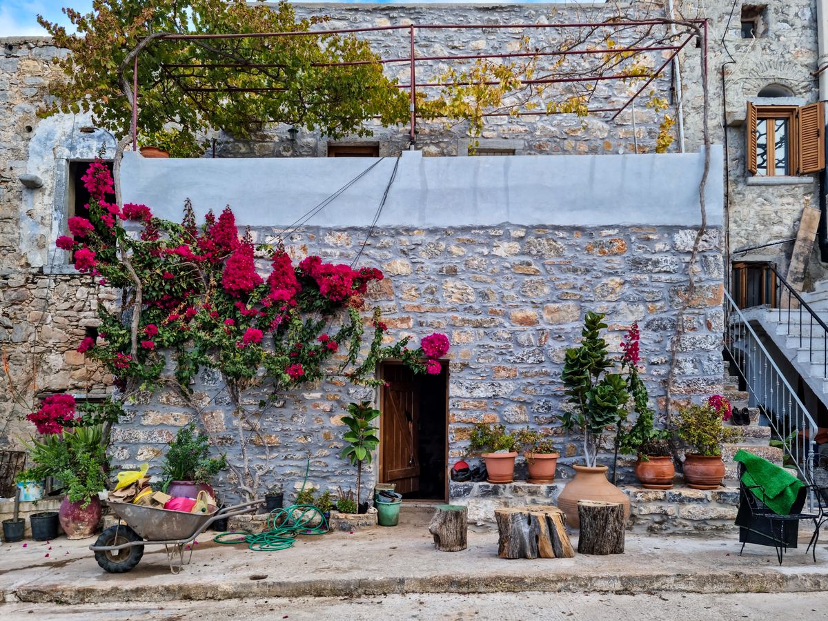 Plante în ghivece decorând o casă veche
