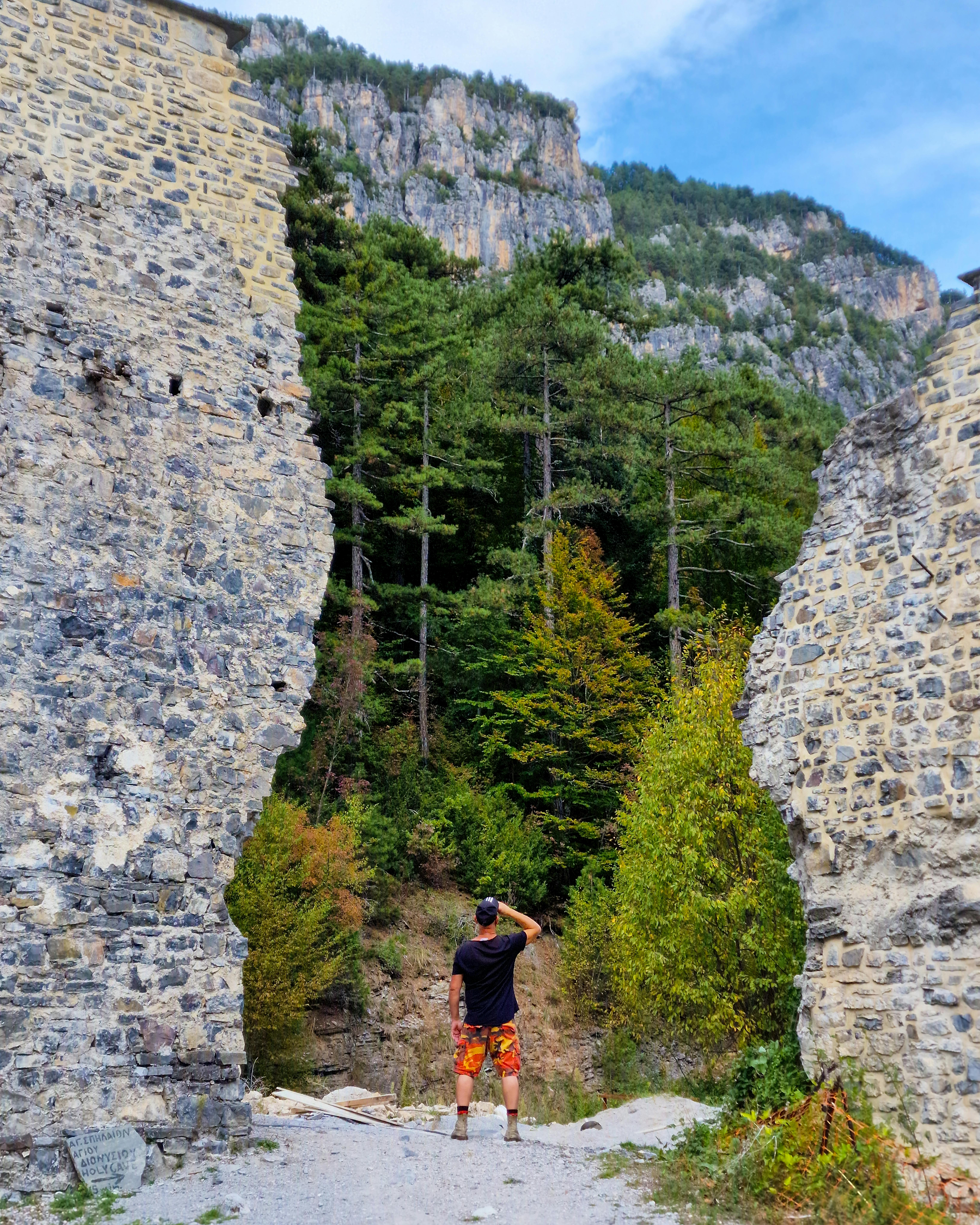 Explorând pădurile seculare ale Munților Făgăraș