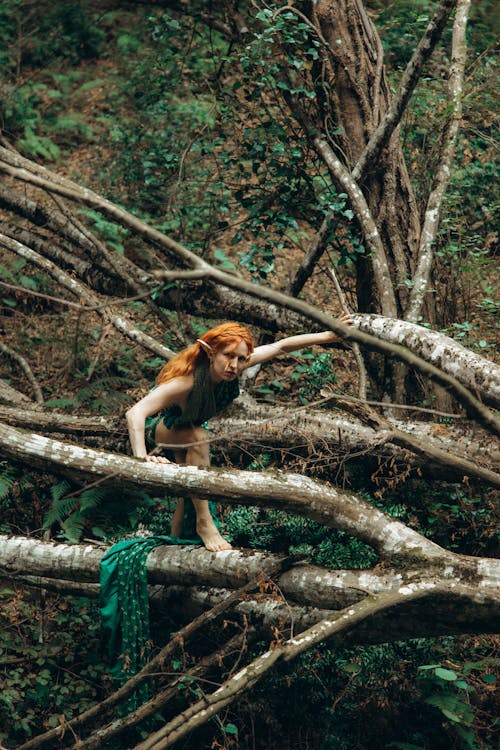 Immagine gratuita di @all'aperto, acqua, albero