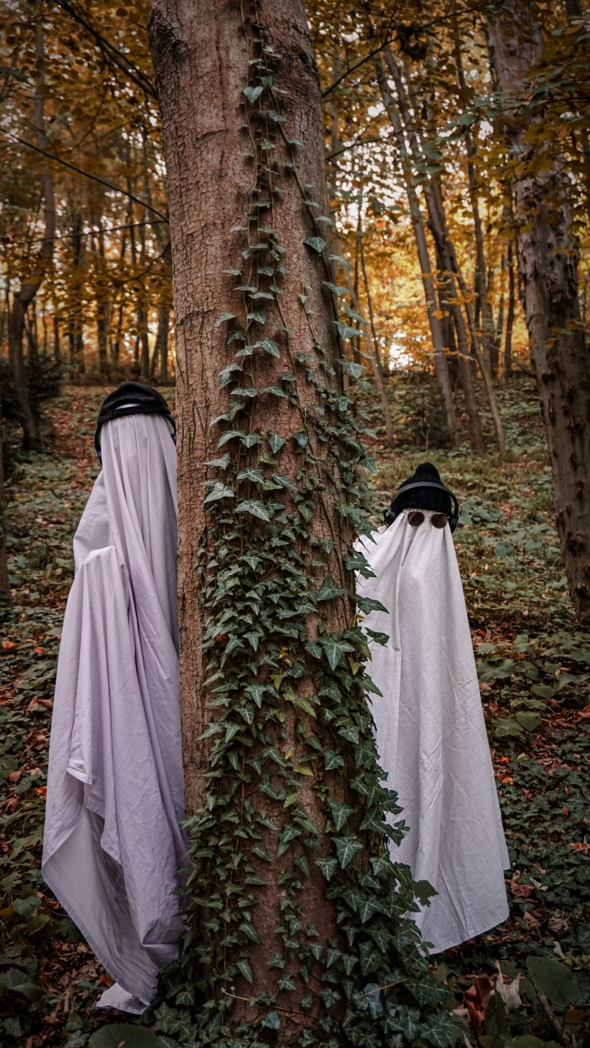 Ghost Behind Tree Ghosts Hiding Behind a Tree in a Haunted Forest · Free Stock Photo