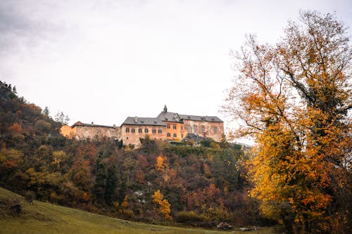 Colorful Trees and Building on Hill above