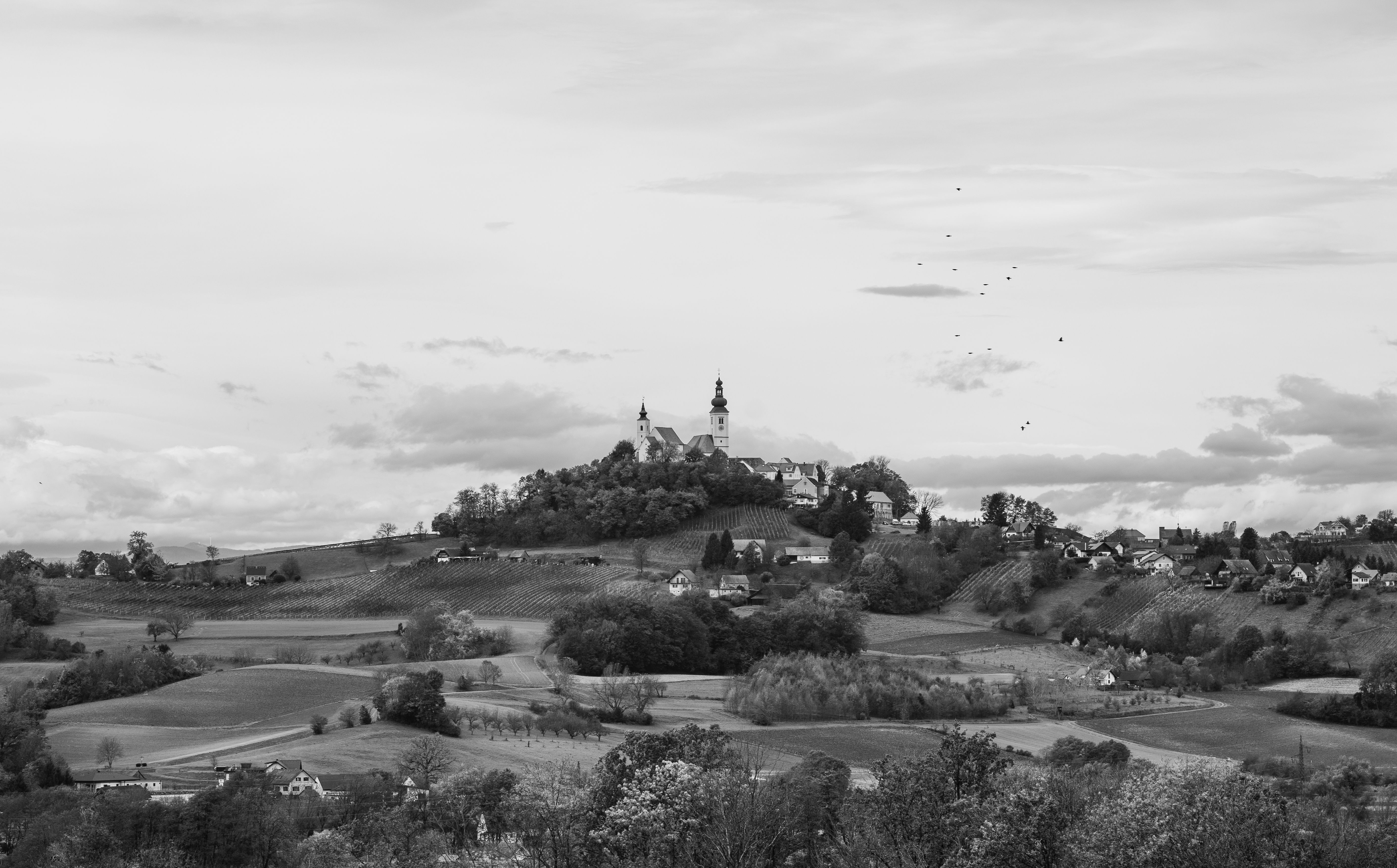 Blick auf eine Schlossanlage in einer Hügellandschaft