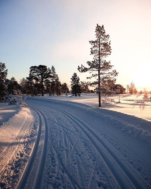 大雪覆盖路