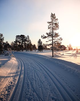 冬日宁静，阳光明媚，白雪覆盖的小路两旁绿树成荫