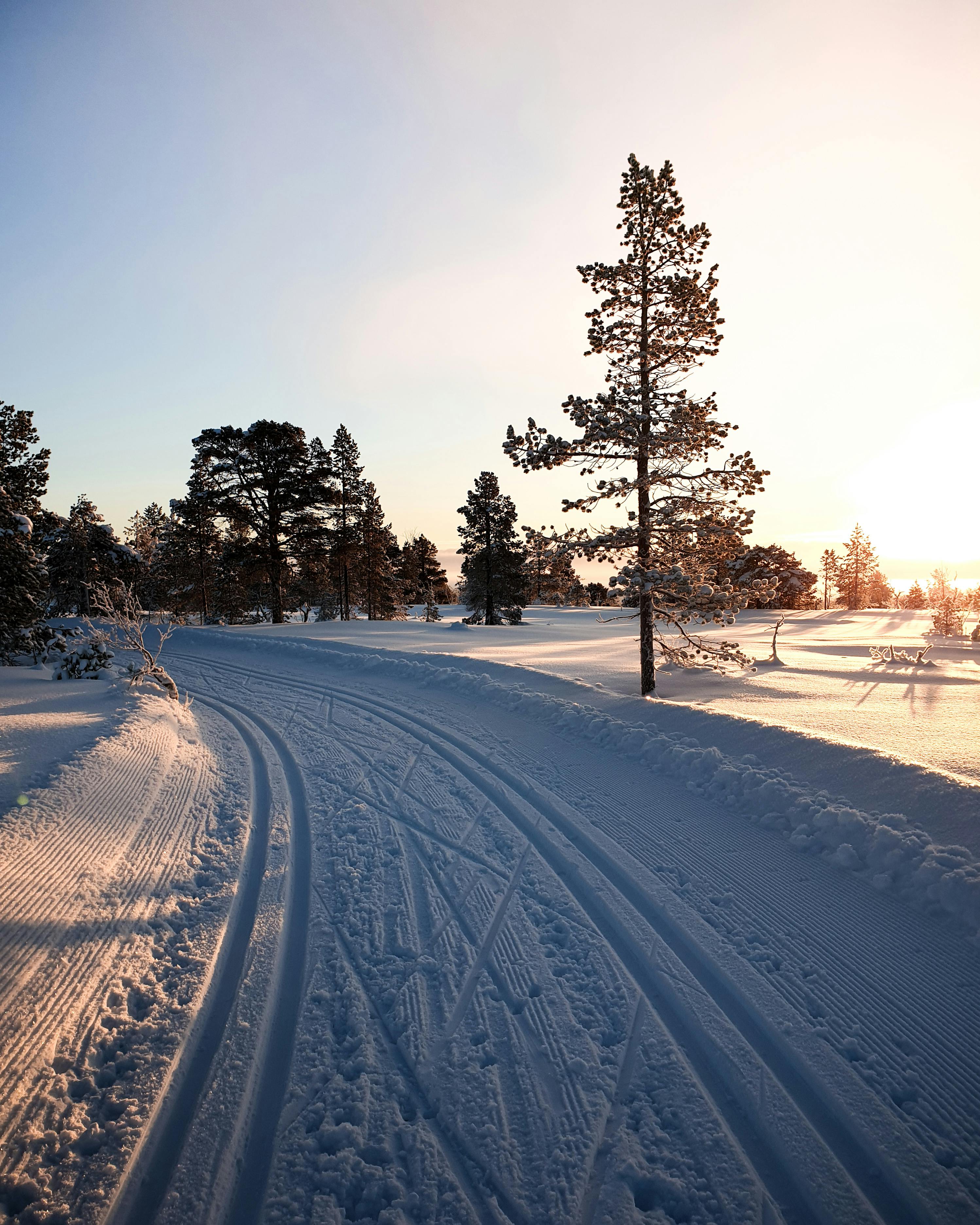 Snow Covered Road · Free Stock Photo