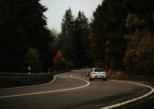 Gratis stockfoto met asfalt, autorijden, herfst bos