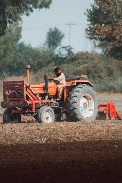 Základová fotografie zdarma na téma farmář, hřiště, muž