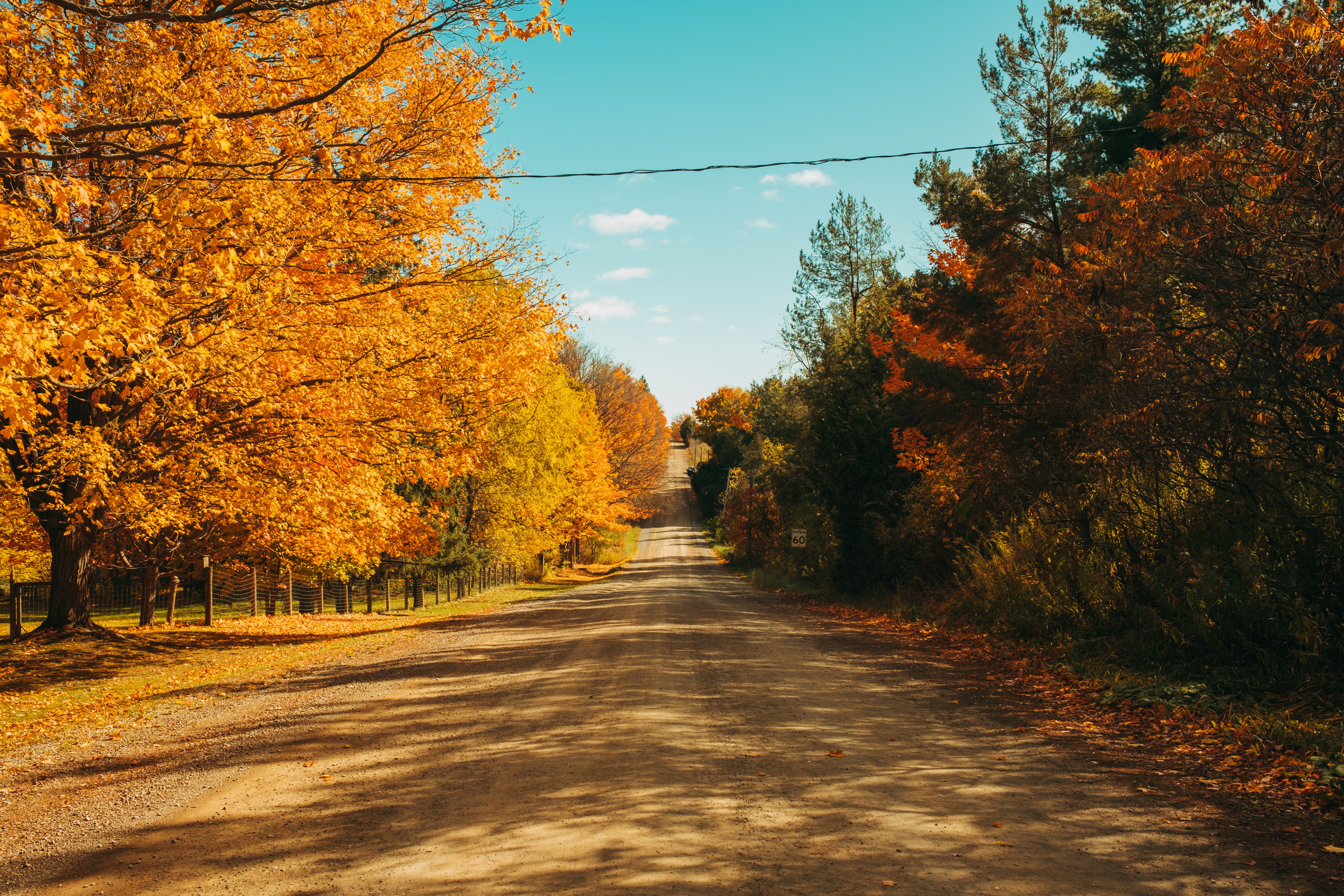 Dirt Road among Colorful Autumn Trees · Free Stock Photo