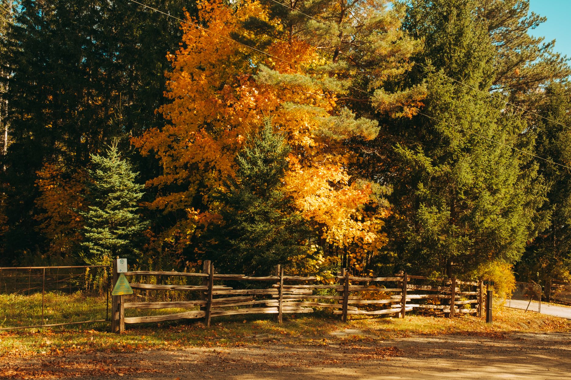 A picturesque autumn scene featuring a rustic fence and vibrant fall foliage.