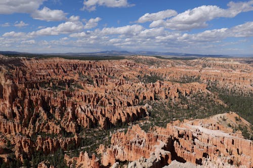 Hoodoos in Bryce Canyon National Park in Utah, USA