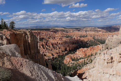 Eroded Rock Formations in Bryce Canyon National Park in Utah, USA
