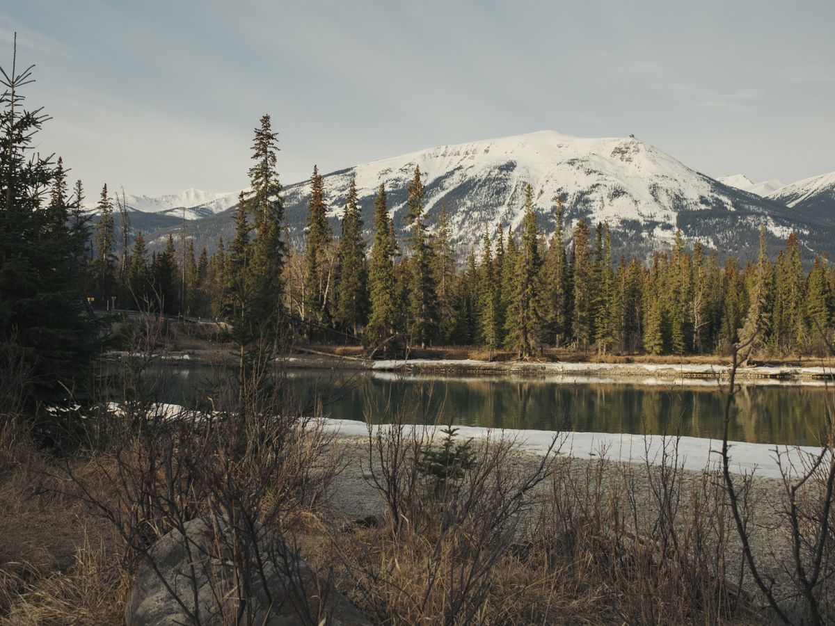 4 Day Quest for Balance SUP & Yoga Retreat in Ontario, Canada 1