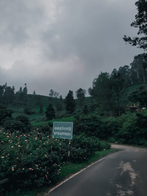 Základová fotografie zdarma na téma horská stanice, kerala, kopce