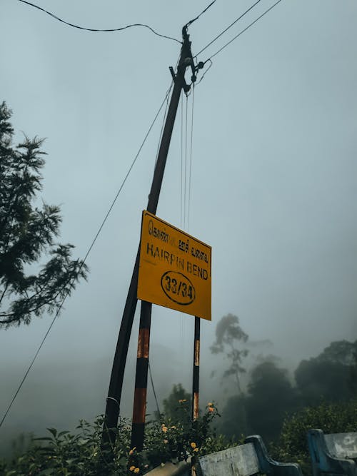 Misty ooty