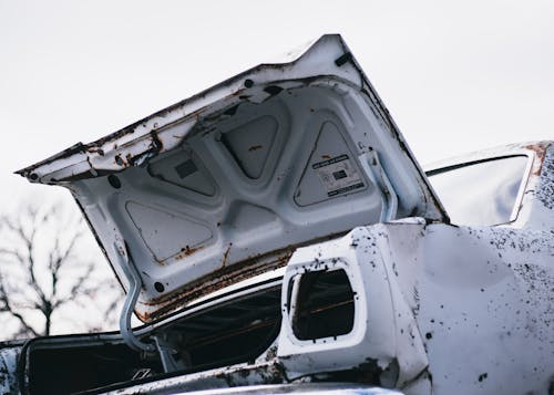 Fotobanka s bezplatnými fotkami na tému auto, biela, chróm