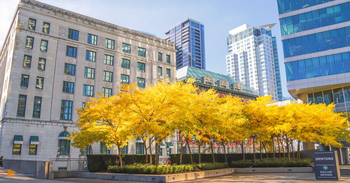 خط آسمان مرکز کلگری، چون آلبرتا با ۲۹ هزار شغل جدید ستاره گزارش اشتغال نومبر ۲۰۲۵ بود