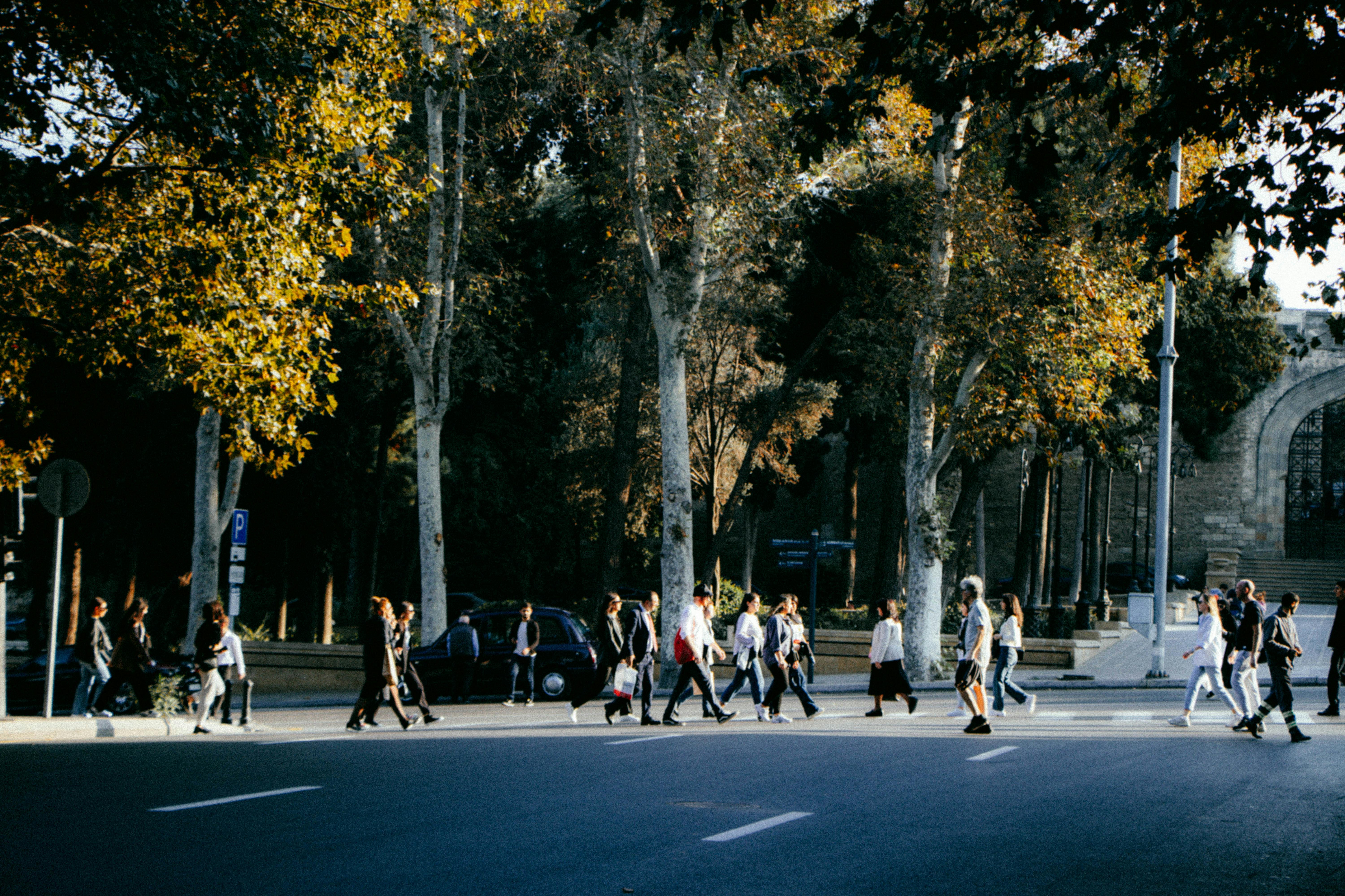 civic life examples — Photo by Rahib Yaqubov on Pexels