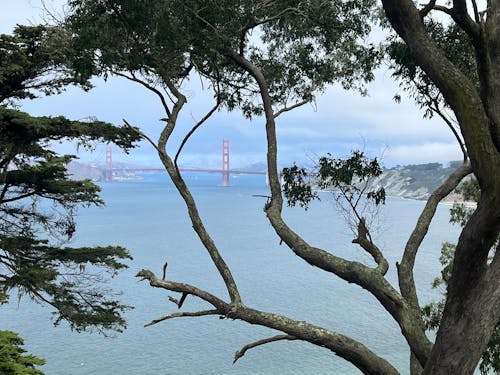 Foto profissional grátis de Ponte Golden Gate