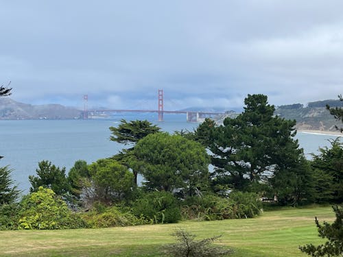 Foto profissional grátis de Ponte Golden Gate