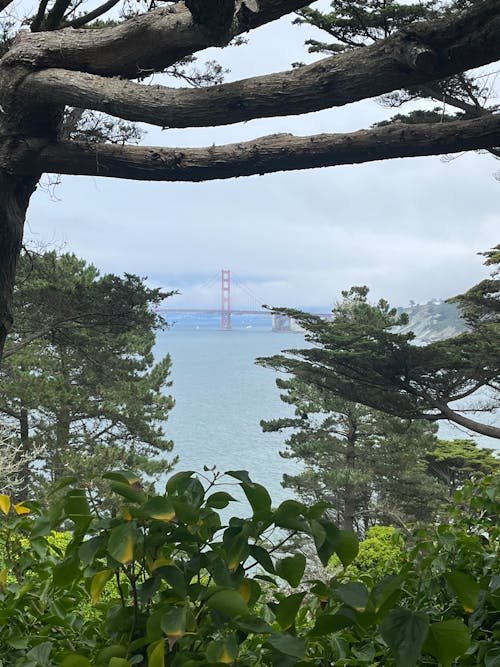 Foto profissional grátis de Ponte Golden Gate