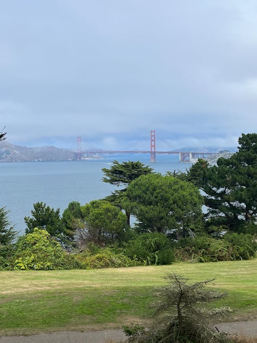 golden gate köprüsü içeren Ücretsiz stok fotoğraf