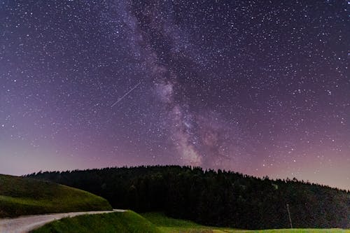 Foto d'estoc gratuïta de arbres, astronomia, bosc